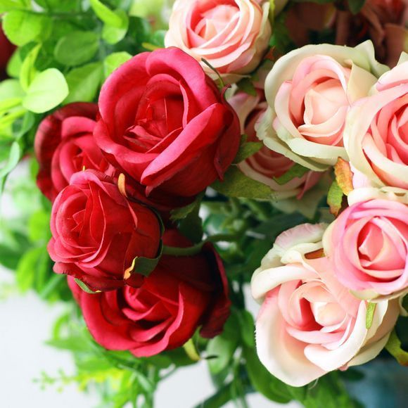 室内养护盆栽花卉,做好“5方法”,“2技巧”,花卉叶绿花艳