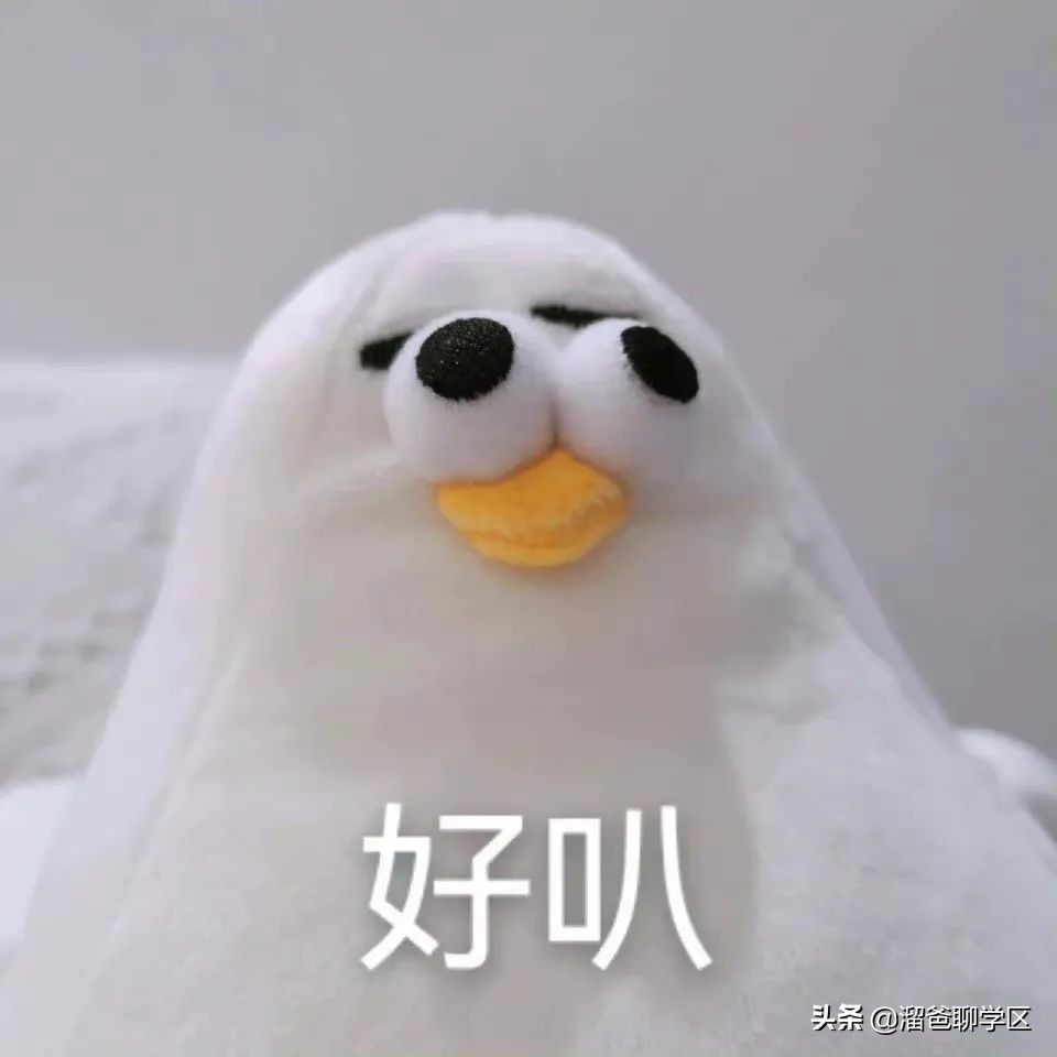 神仙树|大源北/攀成钢“升级”,神仙树“降级”…成都基准地价更新了