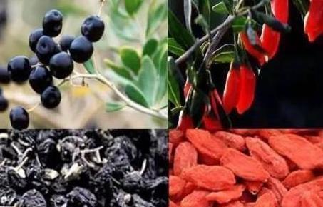 中医|人们常用枸杞泡水喝,但上百年来却毫无效果,原来第一步便做错了