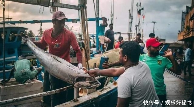 杀生|印度人卖鱼讲究不杀生,鱼全是自己往刀上撞的,不信来问问这鱼