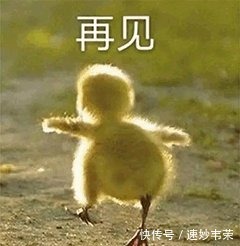 氨基酸洗面奶|号称温和的氨基酸洁面产品是真的好用吗?一起来看看吧!