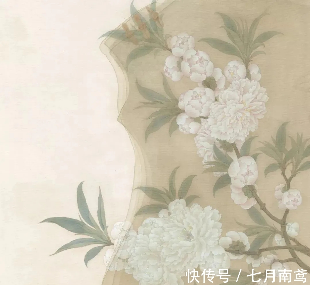 鲍莺|女性画家特有的审美情调,被她释放的淋漓尽致|鲍莺花鸟画