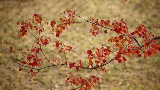 做人,不可好高骛远,更不可小看自己