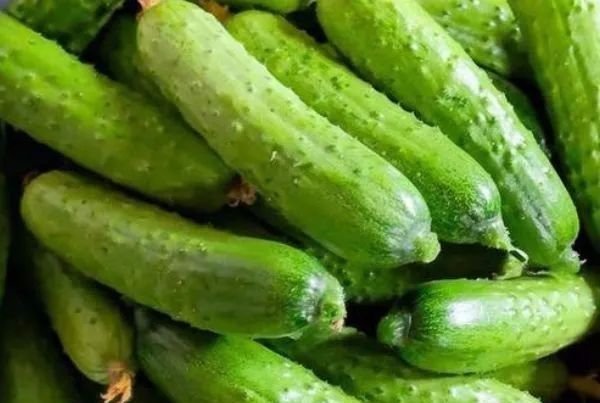 禁忌|告诫大家一根黄瓜,一家四口全住院吃黄瓜的4个禁忌要牢记,别再忽视了
