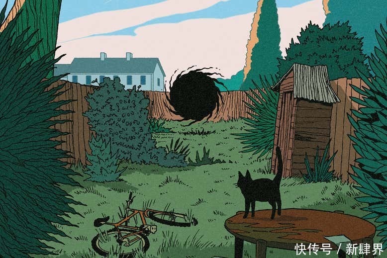 在太阳系边缘是否有一个古老的黑洞?