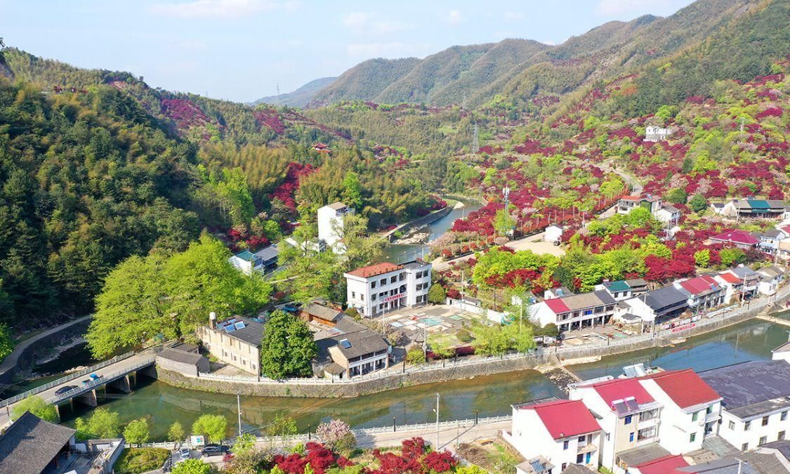 宁波红枫欣赏地，大俞、北溪、唐田，红枫绚烂