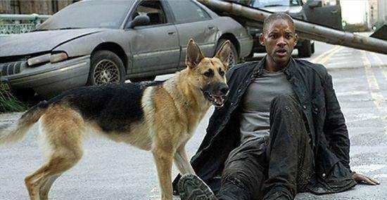 下联&千古绝对!上联“一个人,一条狗,东南西北到处走”,下联很经典