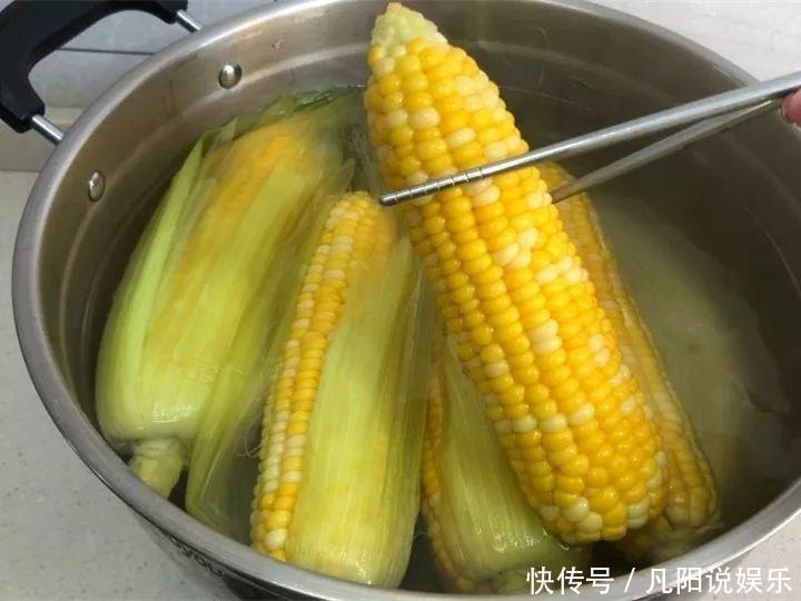 玉米棒子扔盆里,洒点水就发芽了,7天长一把绿苗!