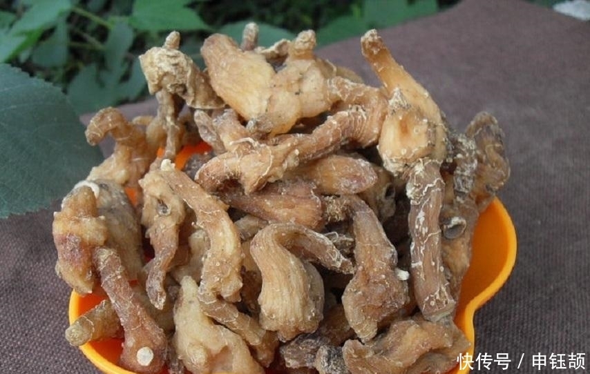 农村|农村山坡下一种野草,城里卖到25元一斤,煲汤最佳材料之一!