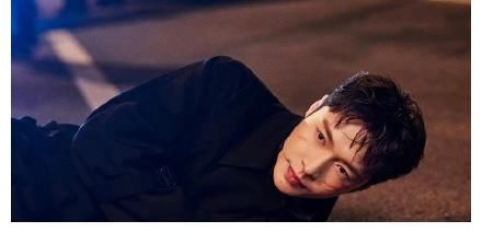 林浩|《掃黑風暴》迎來大結局 張藝興發(fā)長文告別林浩