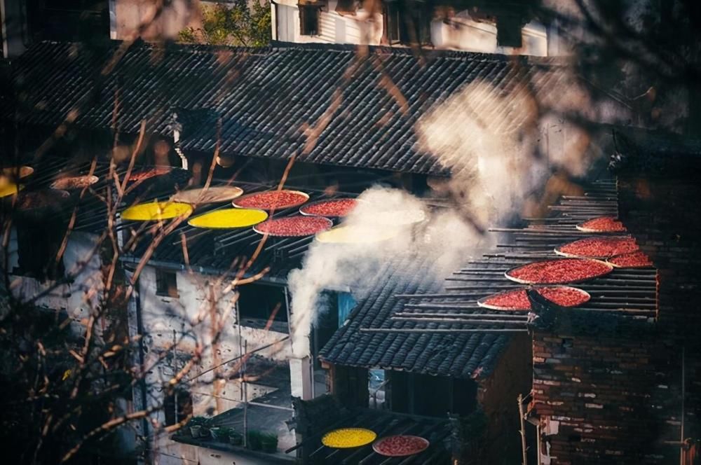 生活|什么是生活？（精辟）