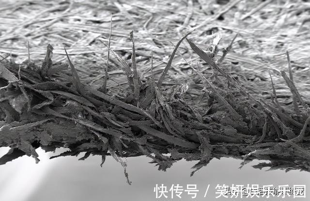 珠穆朗玛峰|你知道登上珠穆朗玛峰还要排队吗？30张趣图让你大开眼界