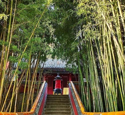 北京城郊的一座佛寺，风景如画像世外桃源，比少林寺历史更悠久