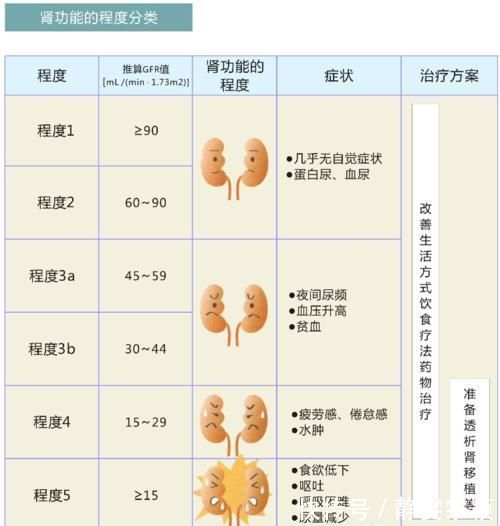 痛风性肾病|尿酸高影响肾功能吗?医生:痛风患者请做好十件事,保肾降尿酸