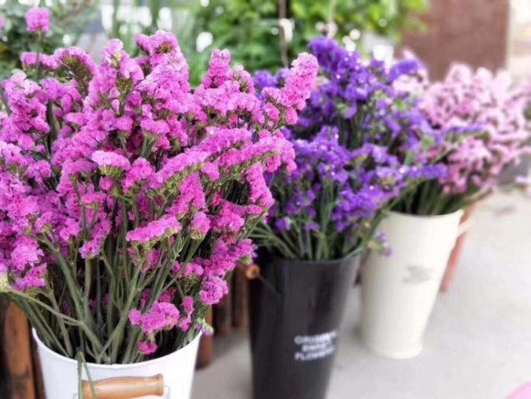 七夕收到的鲜花,看几天就败教你3招,放一年都没事!