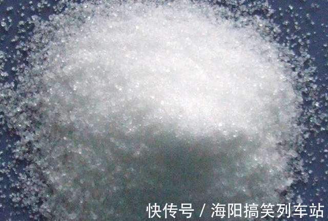 浇水|君子兰长得慢、不开花?2种肥扔盆里,注意几点,轻松开爆盆