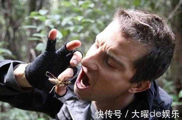 贝尔·格里尔斯|“食物链顶端”的贝爷，为何消失了？