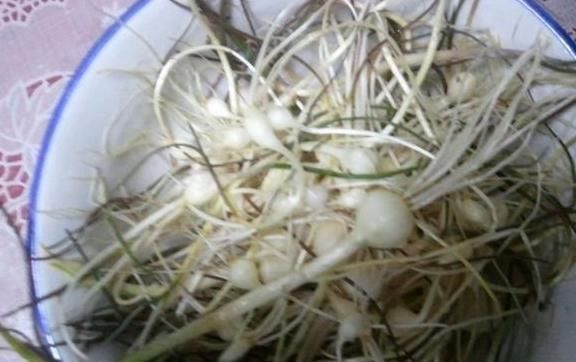 農村最常見的“三種野菜”，90后都吃過，城里有錢也買不到