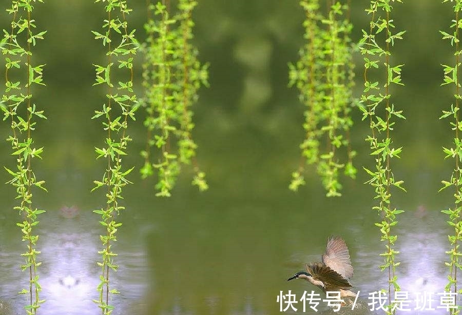 李清照&早春詩詞三首:柳眼梅腮春心動