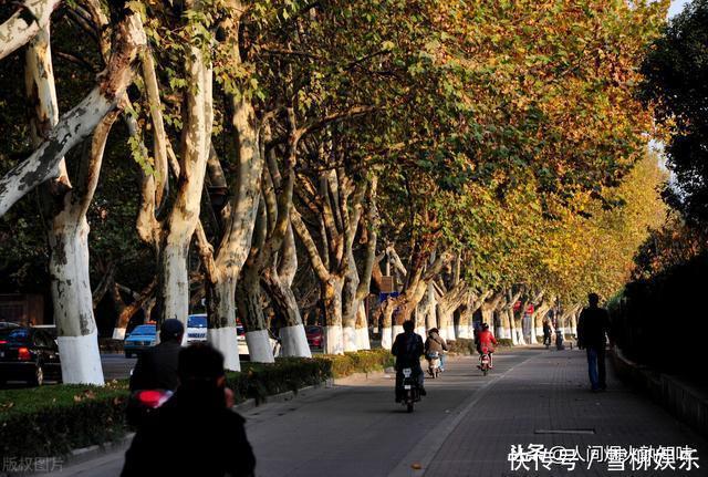 宋美龄:她是驾驭旗袍的高手,晚年定居美国时随身带去50箱旗袍