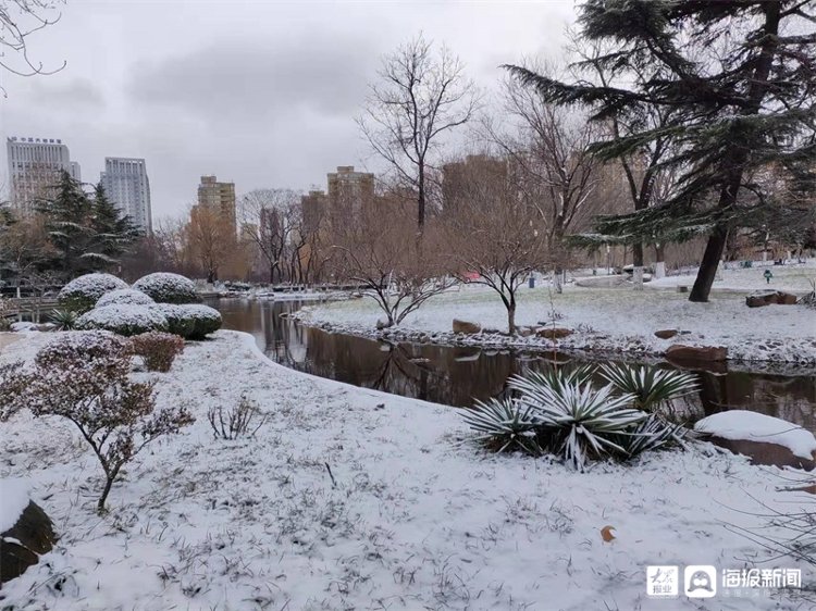 孙永莲|一场雪让潍坊美成了这样