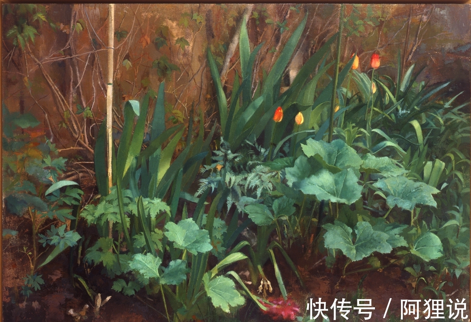 探索|会呼吸的画作——不断追寻探索力量、内在和性感的莎伦·斯普龙