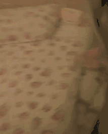 |搞笑GIF:我又翻车了,对!还是上次那个位置,求抓紧时间援救!