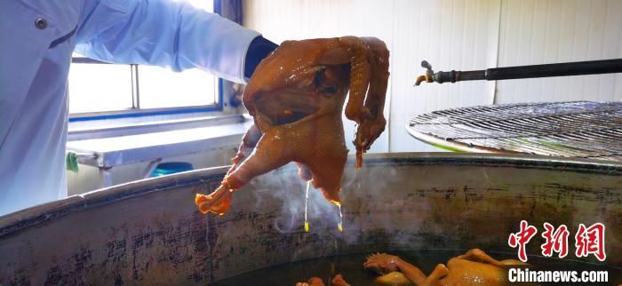 烧鸡|探访百年丝路美食“静宁烧鸡”：闻香千里外，味从鸡肉来