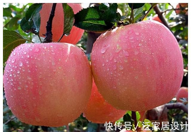 维生素c|这4种水果或有利于孩子“生长发育”,建议:多给孩子吃,别节俭