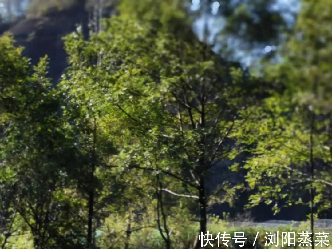 自信|当你相信你的孩子时,你的孩子就会开始自信!