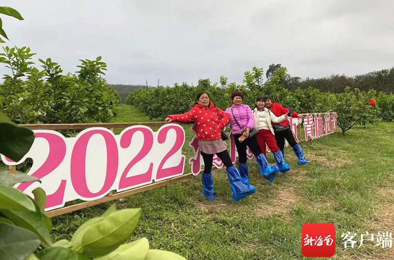 花节|万亩柚花开 澄迈这家共享农庄成春节旅游热门打卡地