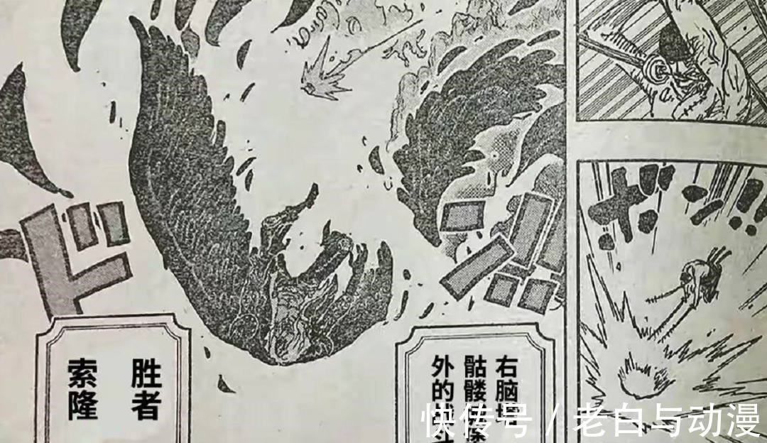 基德|海贼王1036话:索隆化身地狱之王,德雷克被CP0打败了