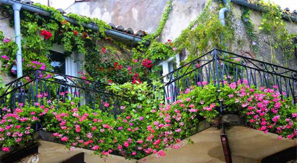 放在|空油桶不要扔,在上面插两根吸管,放在阳台上,全家人都要抢着用