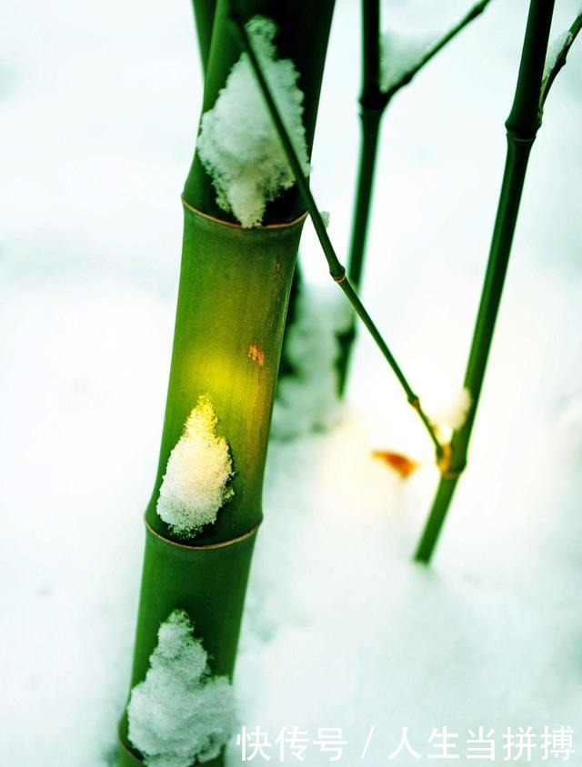 这几首写失眠的诗词,每一首都成就了一个不朽的失眠