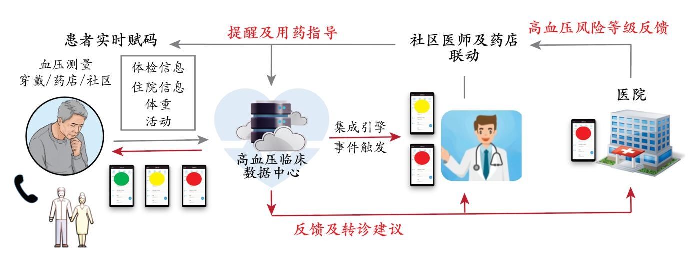 袁洪|湘雅三医院青年高血压研究者提出构建高血压慢病居民健康卡红黄绿码实时风险评价体系