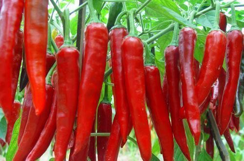 增生|前列腺增生要管好嘴,5种容易加重增生的食物,宁愿挨饿也别碰