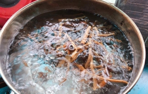 竹笙|朴素清淡的一碗汤，食材不简单，营养更丰富