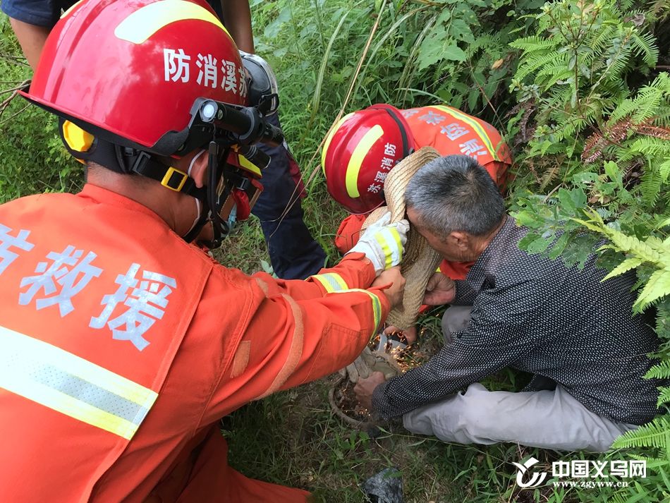 消防|七旬老汉采摘观音叶误踩野猪夹 义乌消防暖心救助