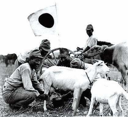 发现|开国少将脑洞大开,连偷11天日军武器没被发现,后竟派羊上战场