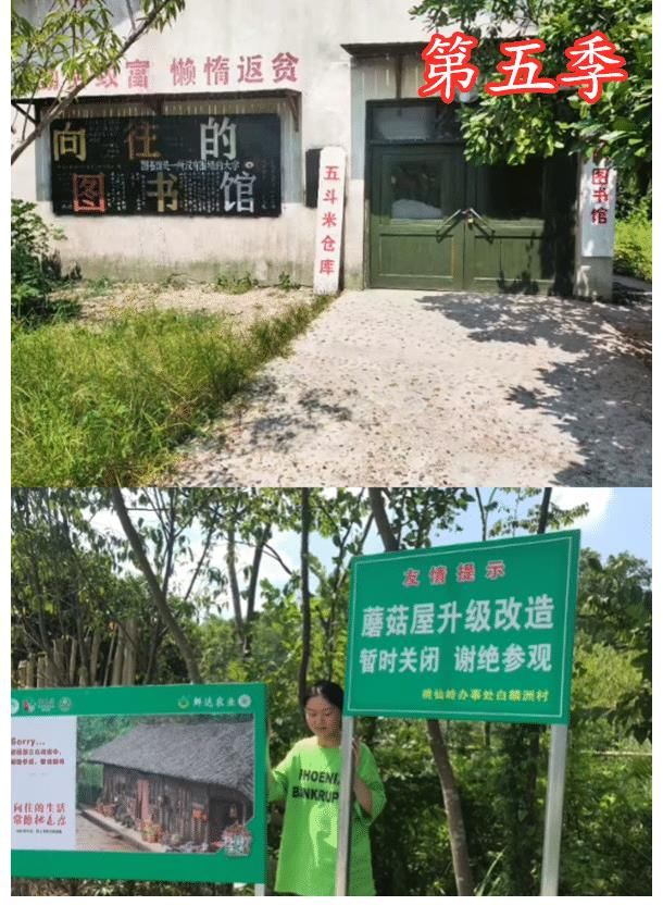 第三季|《向往》5季蘑菇屋現狀，3處保存尚好，1處被廢棄，1處在裝修