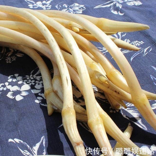 生活环境|不要嫌它丑,33-55岁女人每天吃一点,排出毒素,越吃越年轻化