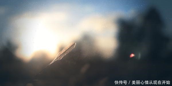 年前|1000年前的状元文章是怎样的这文采和境界,当代人很难超越