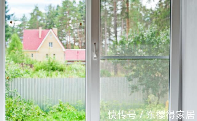 驱蚊草|家里的这些角落里,适合摆放哪些植物?建议收藏!