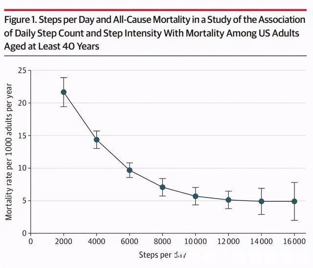 消耗|科学家十年研究揭开：每天走4000步和8000步的人有什么区别？