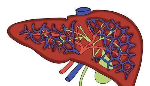 指标|怀疑肝脏出了问题,先要查的是6大指标,一个都不能忽视