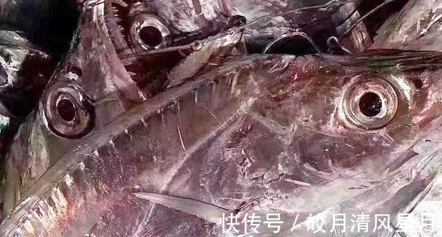 同样是带鱼，“黄眼睛”和“黑眼睛”区别大，弄懂了再买不吃亏！