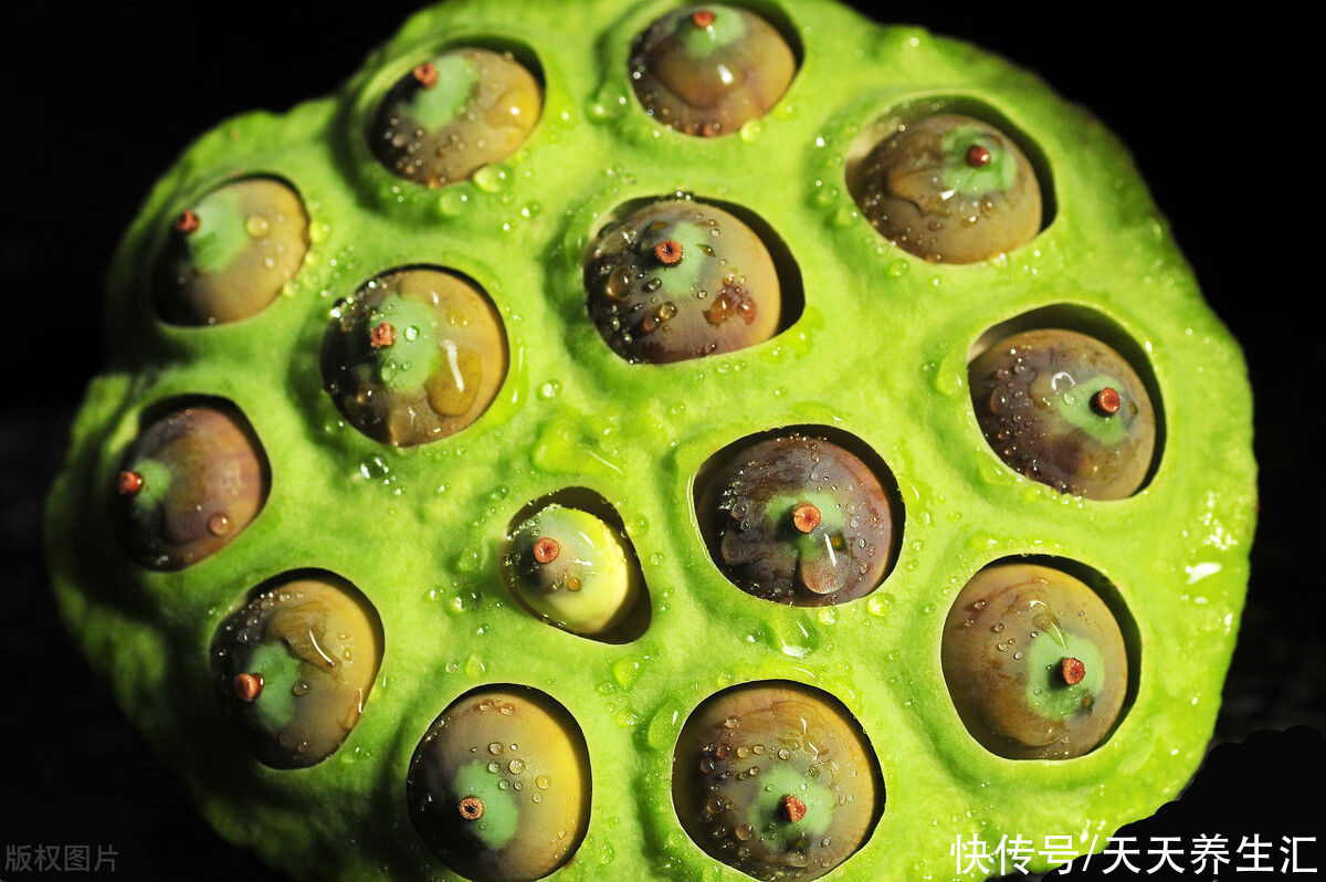 能量|“三伏天”,老年人容易缺乏3种营养,多吃“六宝”,更健康