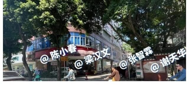 大灣區(qū)哥哥錄節(jié)目被控?cái)_民，事后處理方式惹人贊！