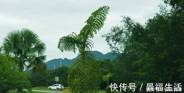 中国科学院|实在太美了！这个随便一拍都是大片的景点，竟然很少人去