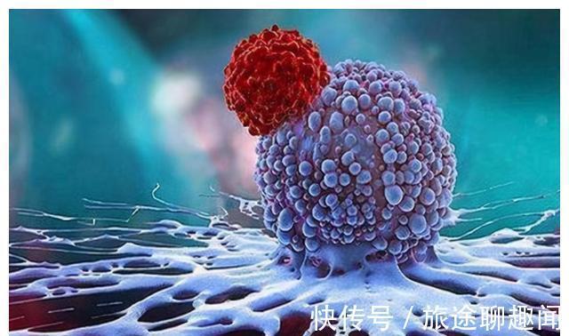 蒲公英|中药又立功?蒲公英可杀死98%癌细胞、消结节?真相是咋样的?